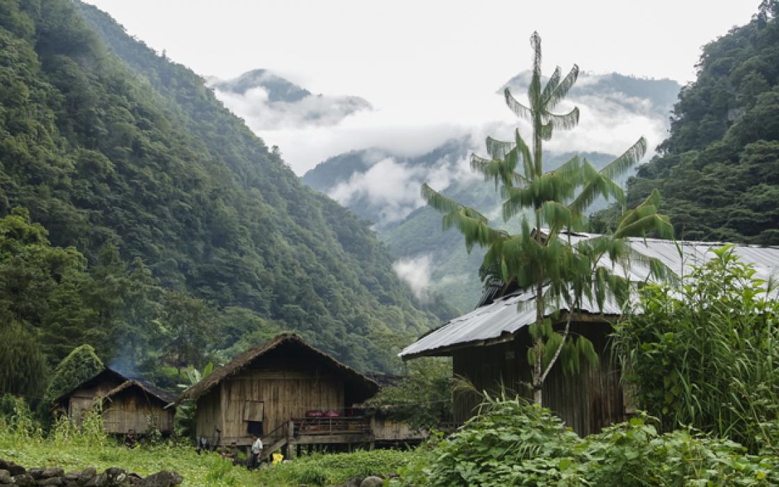 Arakan Mountains Northern Triangle Forests IM10 One Earth